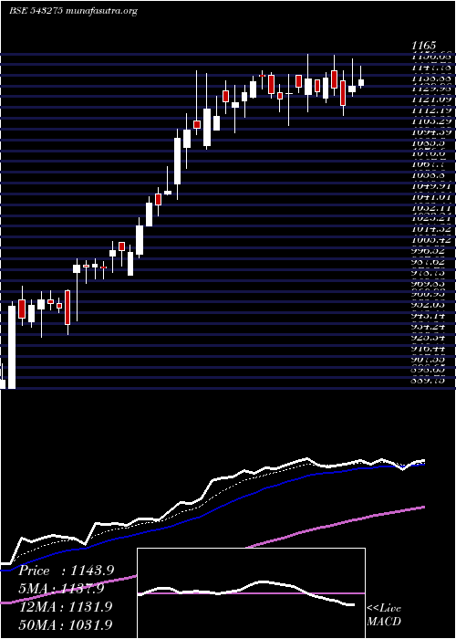  Daily chart Anuras