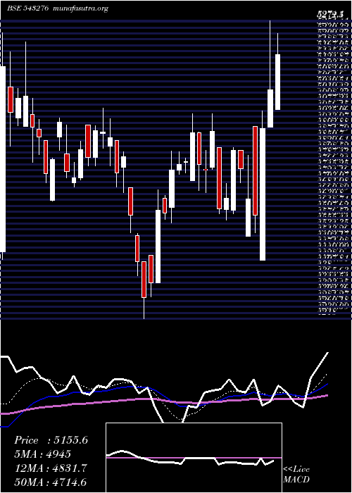  Daily chart Craftsman
