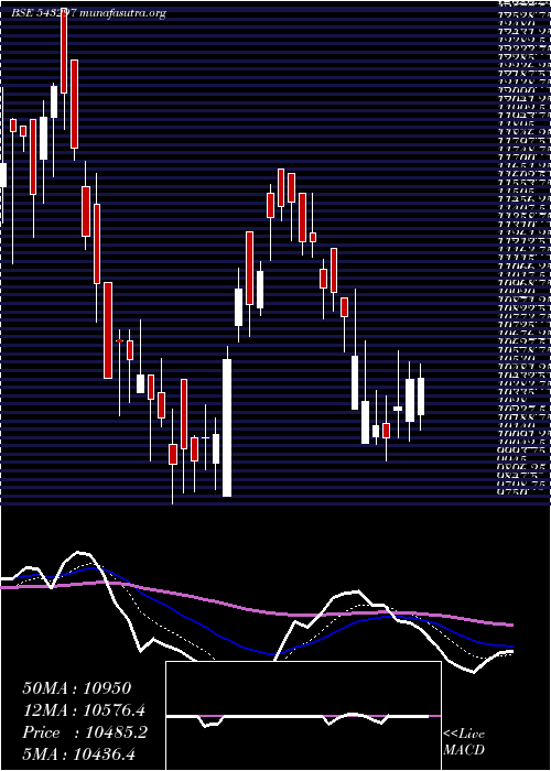  Daily chart Iwel