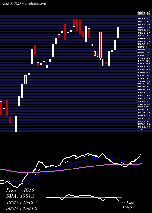  Daily chart Rolexrings