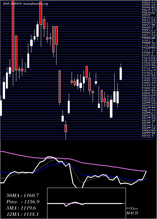  Daily chart Sansera