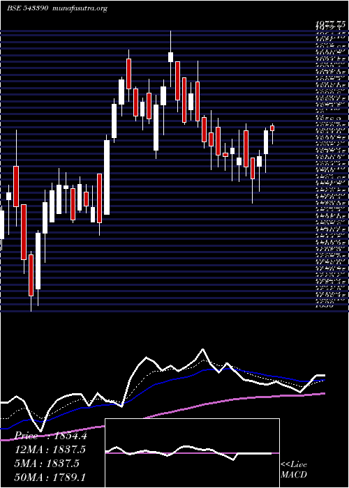  Daily chart Policybzr