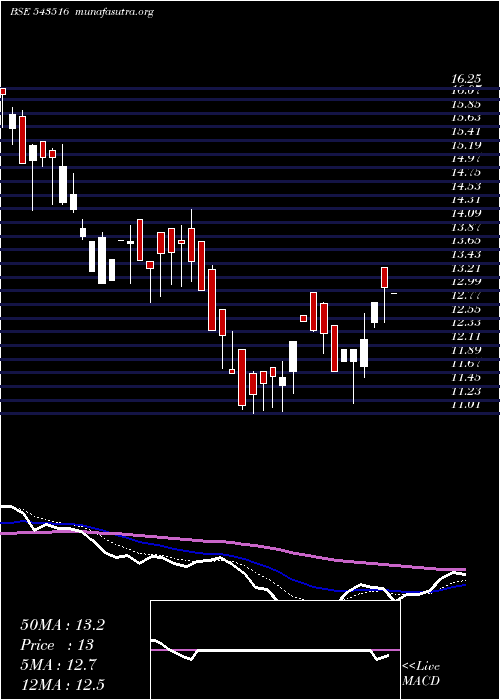  Daily chart Dhyaani