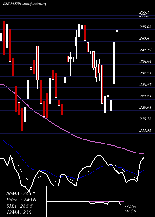  Daily chart Dreamfolks