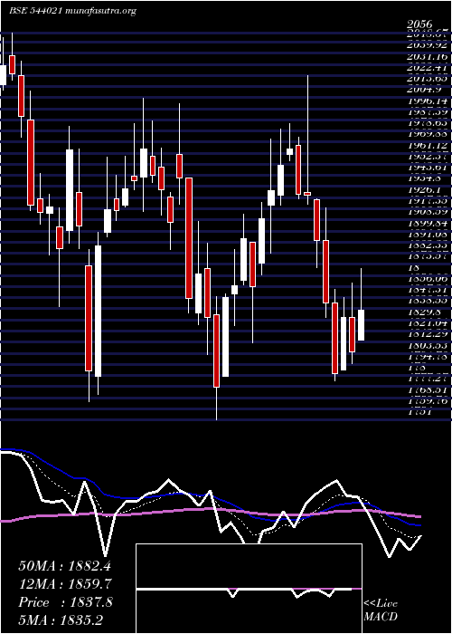  Daily chart Protean