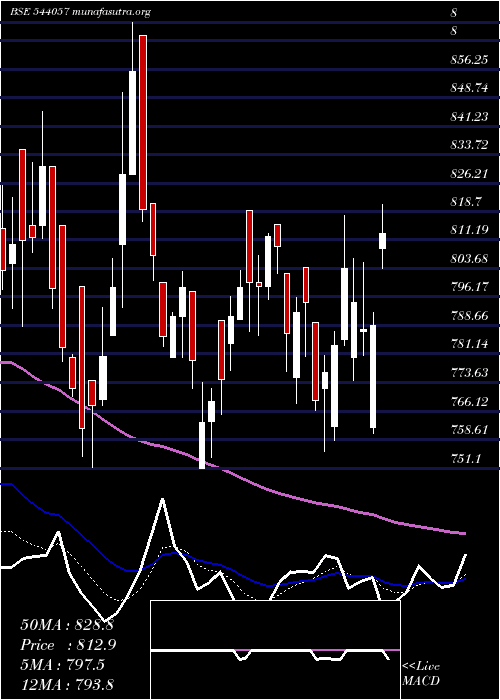  Daily chart Happyforge