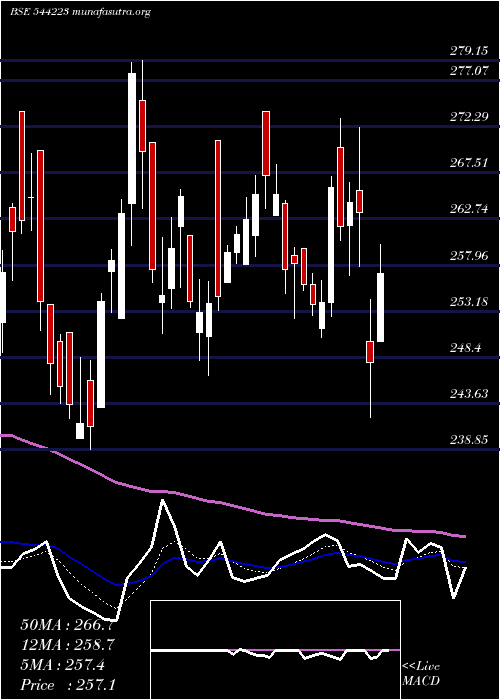  Daily chart CeigallIndia
