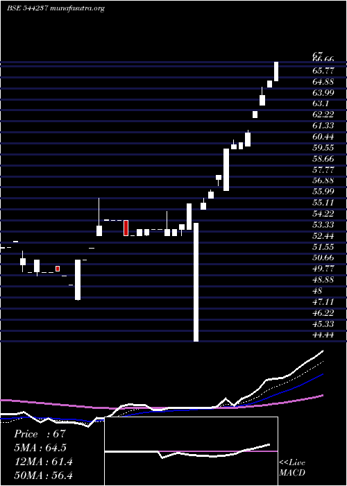  Daily chart RapidMultimodal