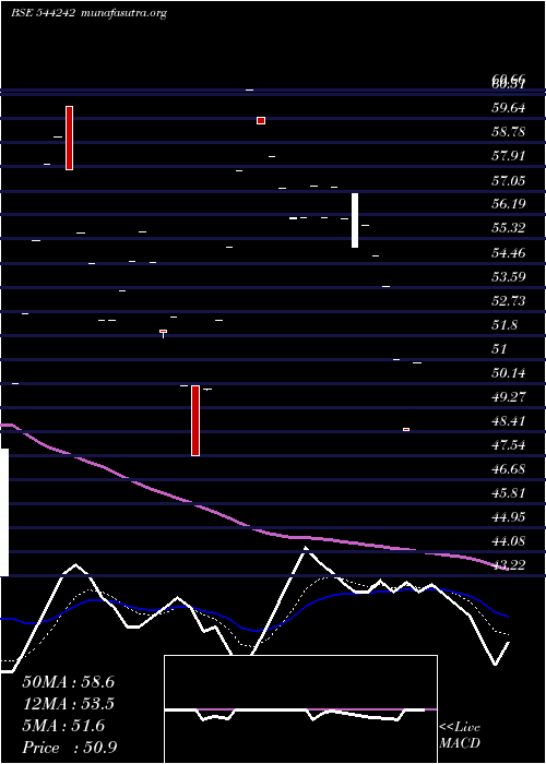  Daily chart TravelsRentals