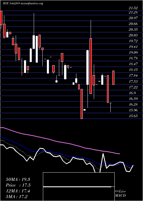  Daily chart NeopolitanPizza