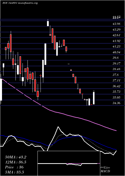  Daily chart OdigmaConsultancy