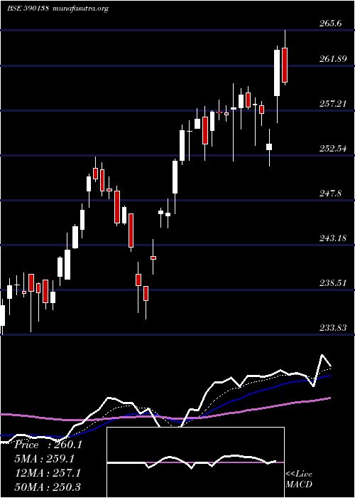  Daily chart Setfnif50