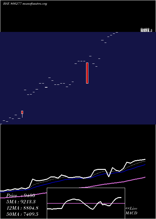  Daily chart Sgbnov25c
