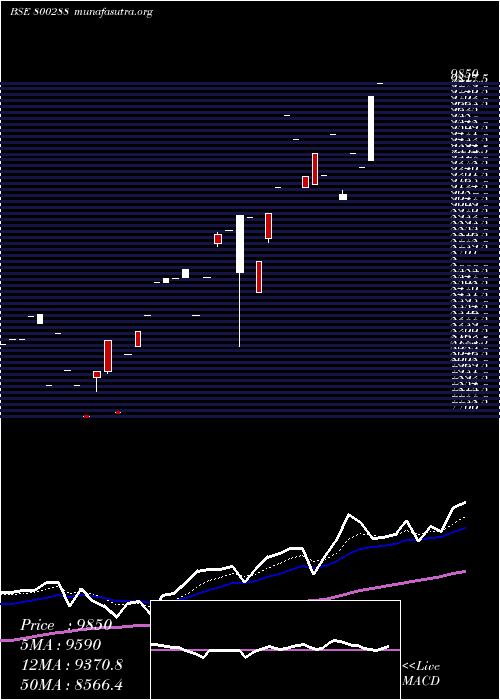  Daily chart Sgboct26