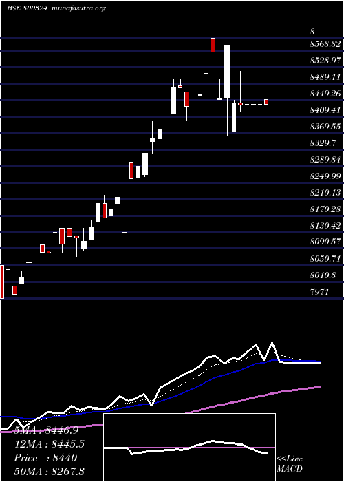  Daily chart Sgbjuly28