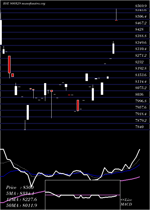  Daily chart Sgbnov28