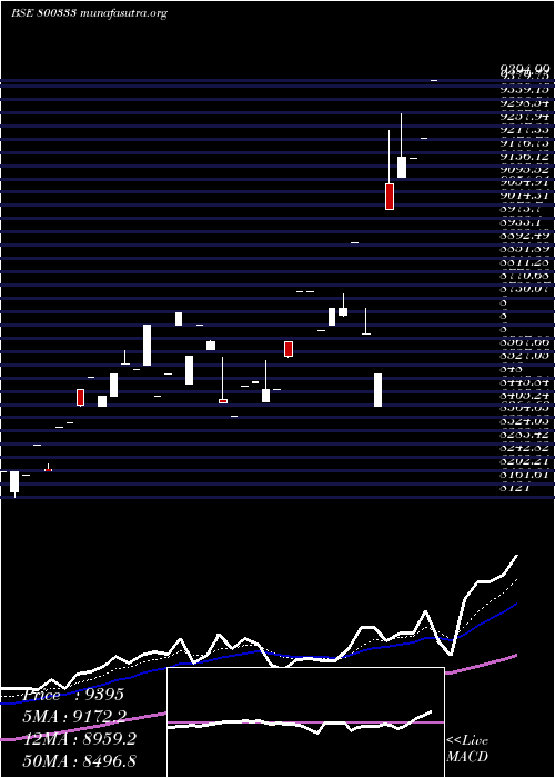  Daily chart Sgbfeb29