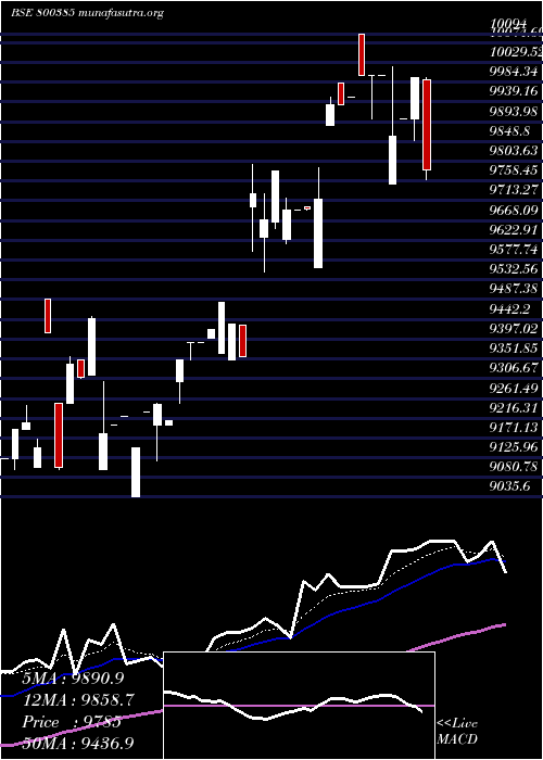  Daily chart Sgbaug29