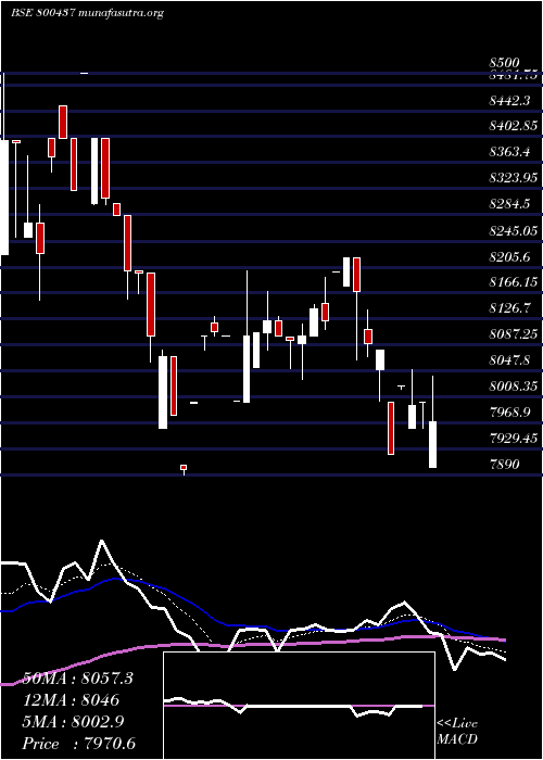  Daily chart Sgbdec29