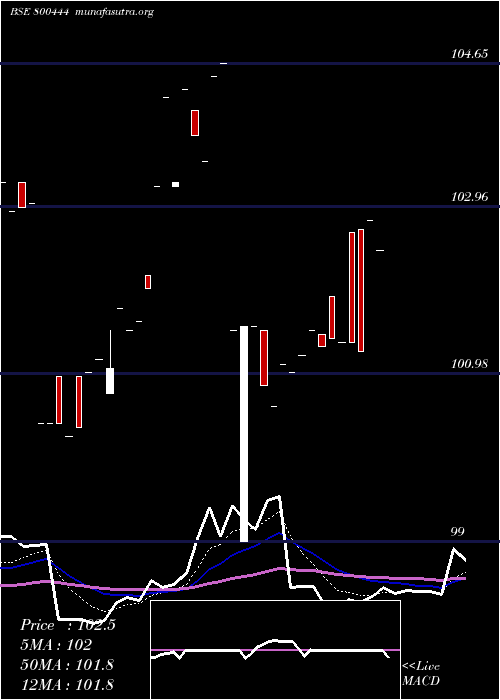  Daily chart 71goi2029