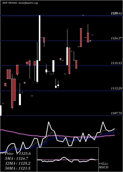  Daily chart 769nhai31