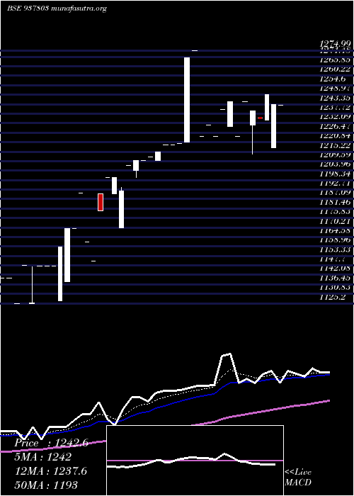  Daily chart Efsl281221b