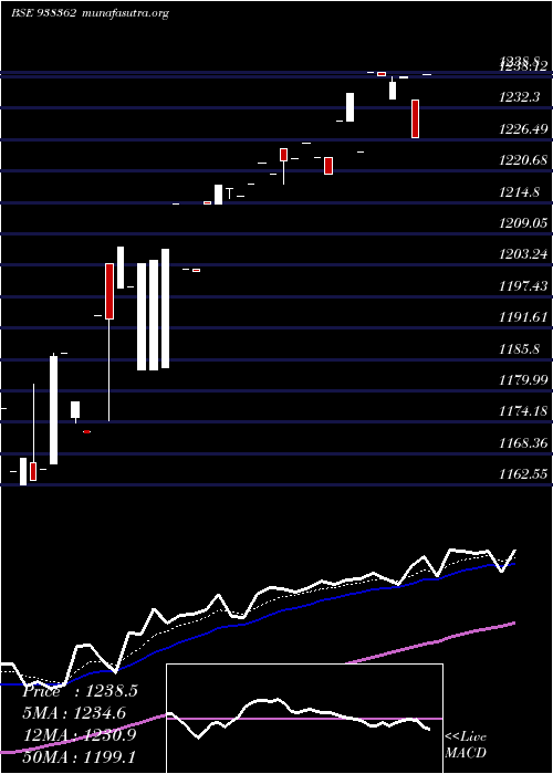  Daily chart Zcefsl26