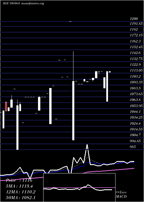  Daily chart Zcefsl28