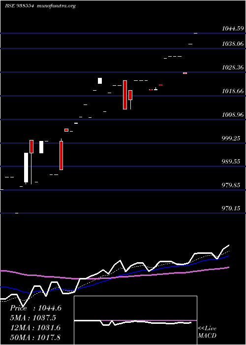  Daily chart 775mfl2025