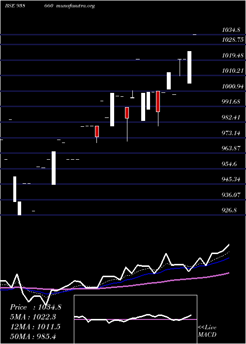  Daily chart 1010efs28