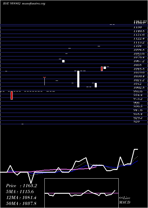  Daily chart Mfl20923b