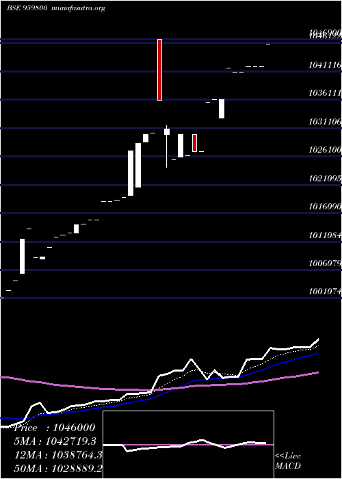  Daily chart 85bobperp