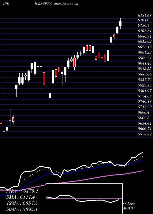  Daily chart SP