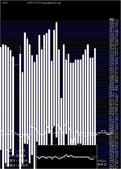  Daily chart TsxvUnchanged