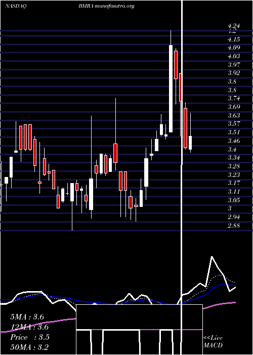  Daily chart BiomericaInc