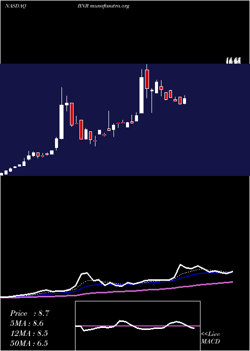  Daily chart BurningRock