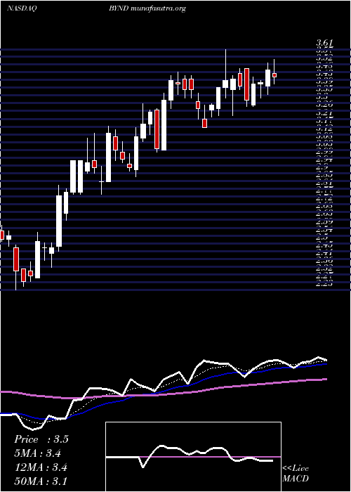  Daily chart BeyondMeat