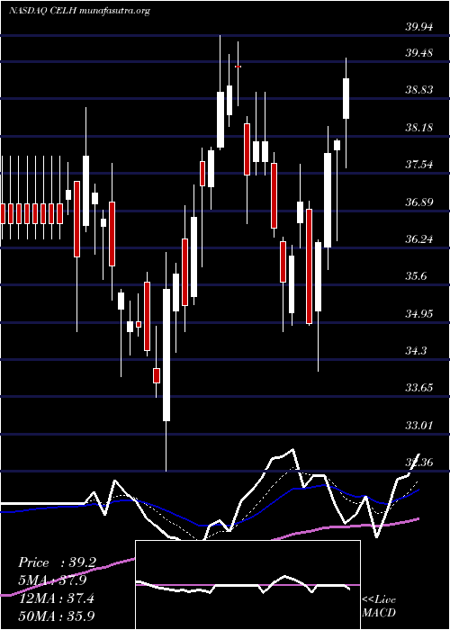  Daily chart CelsiusHoldings