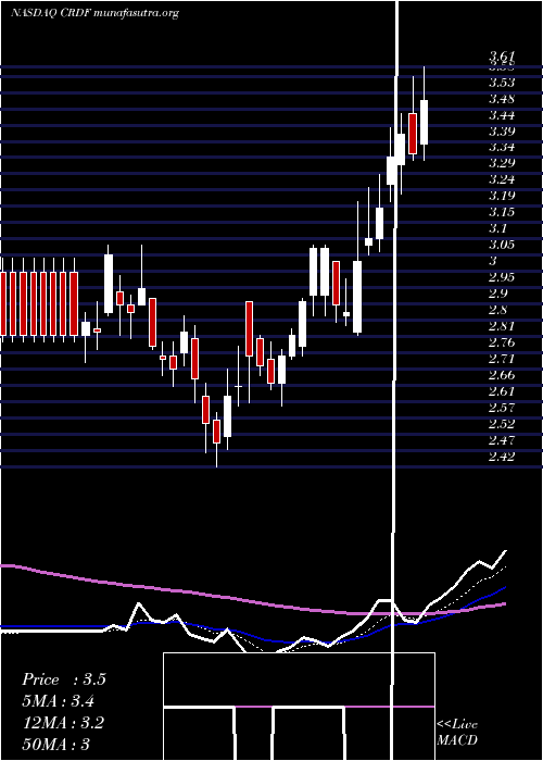  Daily chart CardiffOncology