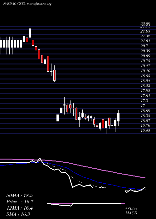  Daily chart CastleBiosciences