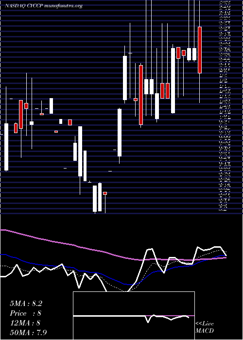  Daily chart CyclacelPharmaceuticals