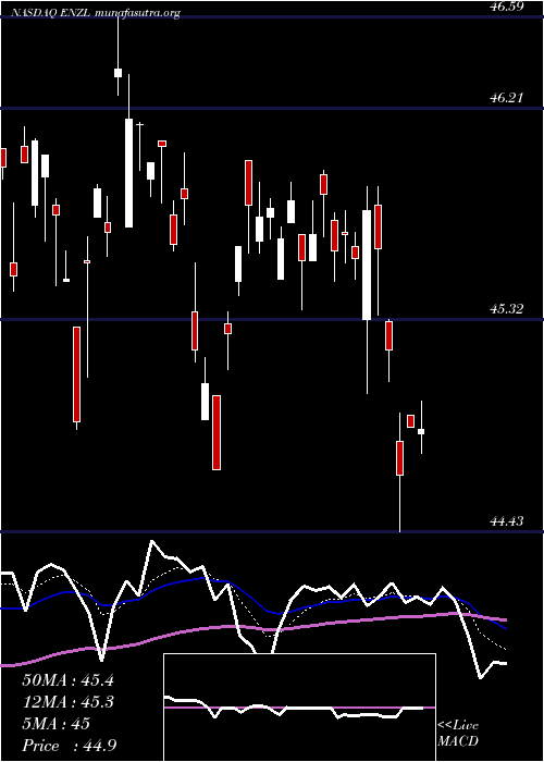  Daily chart IsharesMsci
