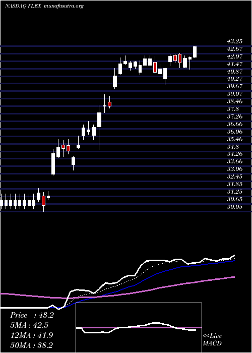  Daily chart Flex