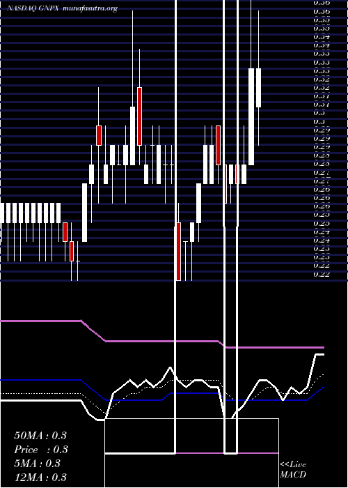  Daily chart GenprexInc