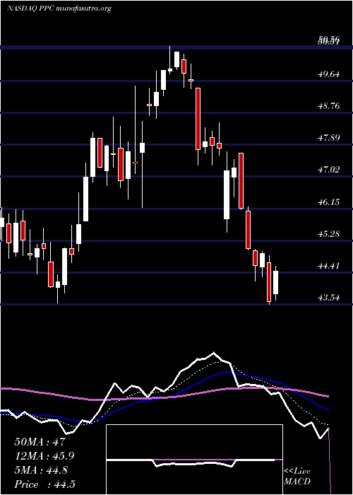  Daily chart PilgrimS