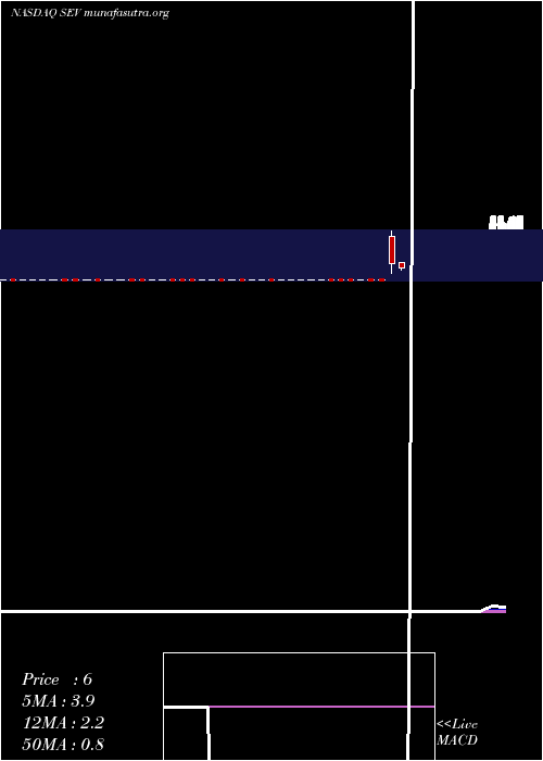  Daily chart SevconInc