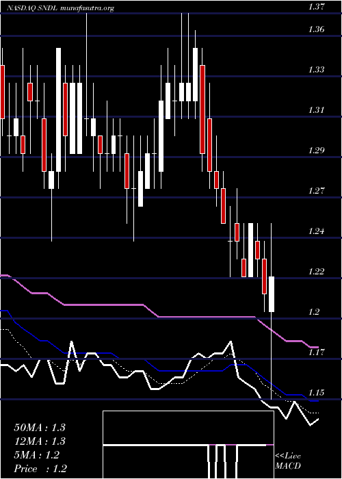  Daily chart SundialGrowers