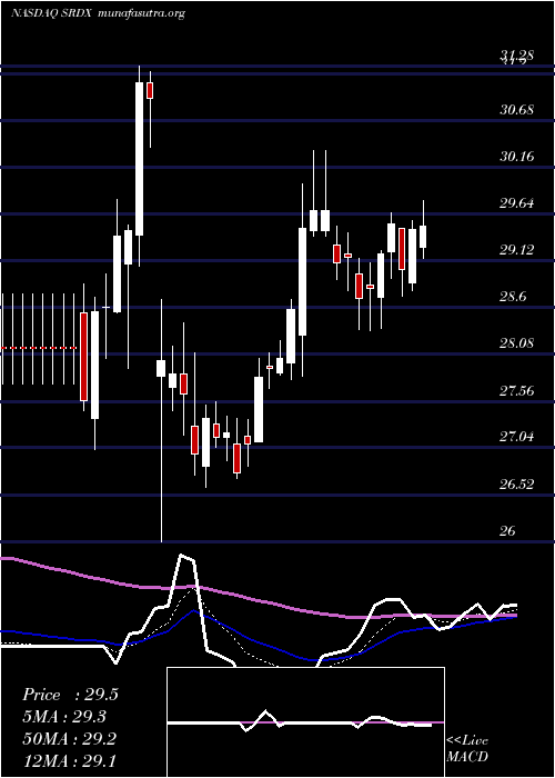  Daily chart SurmodicsInc