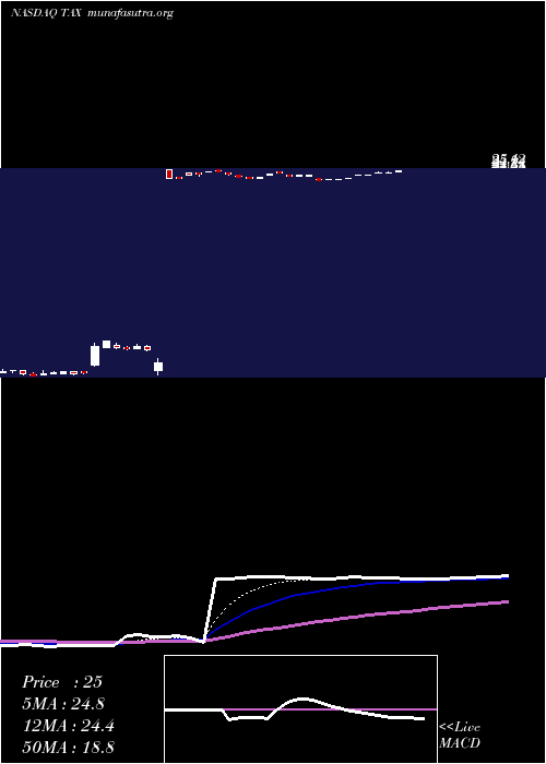  Daily chart LibertyTax