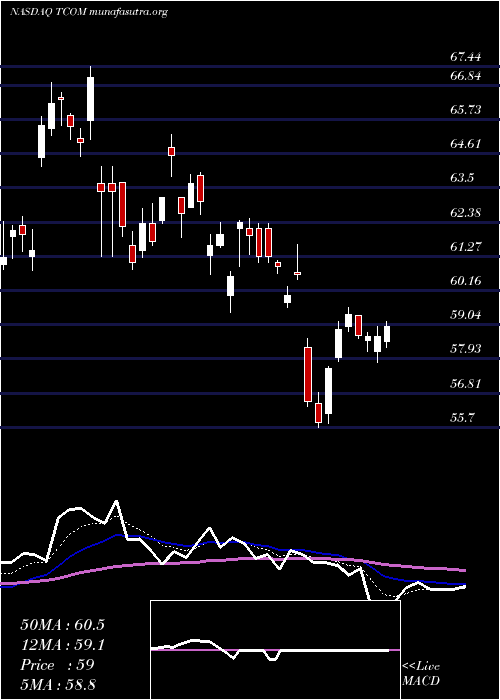  Daily chart TripCom